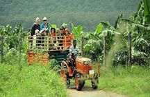 Visit to an Organic Farm in Cumbum Valley - Tamil Nadu