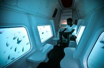 Semi Submarine Tour in Saint Anne Marine National Park