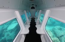Semi Submarine Tour in Saint Anne Marine National Park