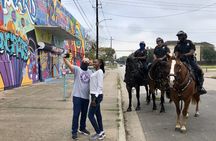 Houston's Official City & Mural Tour! (Day & Night)