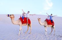 Morning Desert Safari From Abu Dhabi