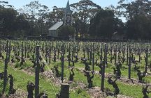 Barossa Valley Private Luxury Tour 