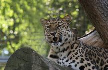 Private Day Trip to Yala National Park from Colombo