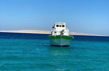Red Sea Diving Trip from Hurghada: Beginner to Advanced Divers