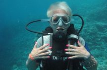 Red Sea Diving Trip from Hurghada: Beginner to Advanced Divers