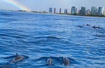 Private Catamaran Cruise and Snorkeling Tour in Honolulu