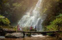 Waterfall Wanderer Doi Inthanon Hiking Tour