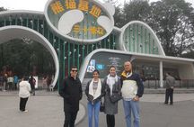 Panda And Cultural Chengdu 1 day tour