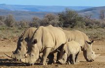 Private Custom Day Tour from Cape Town