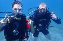 Try Scuba Diving / Basic Diver