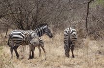 5-Day Omo Valley Tribal Adventure – From Arbaminch to Jinka
