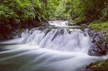 Full-Day Adventure in Corcovado National Park from Drake Bay