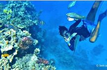 Intro Diving In Sharm El Sheikh