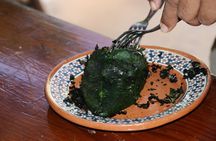 Mexican Cooking Class in Zihuatanejo de Azueta