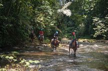 Sarapiqui Forest Horseback Riding Experience in Costa Rica