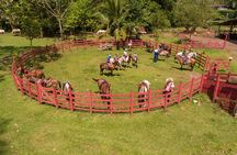Sarapiqui Forest Horseback Riding Experience in Costa Rica
