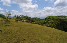 Sarapiqui Forest Horseback Riding Experience in Costa Rica