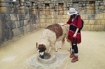 Machu Picchu Full Day - Private Tour