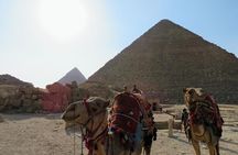  5 days Alexandria , Giza , Cairo & Luxor by plane 