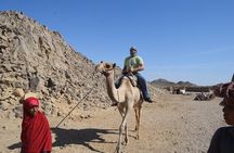 3 Hours Safari By ATV Quad ( Marsa Alam )