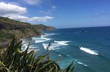 Wineries Honey and Black Sand Beaches from Auckland