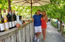 Matakana Scenic Coastal Getaway from Auckland
