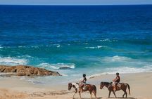 Tacos and Horseback Riding at Migriño beach
