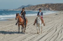 Tacos and Horseback Riding at Migriño beach
