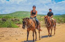Tacos and Horseback Riding at Migriño beach