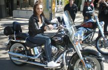 Private Brisbane Harley Sightseeing Tour 