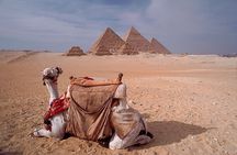 Full-Day Tour to Giza with Camel Ride and Egyptian Museum 