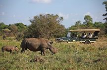 3 day Meru National Park Safari