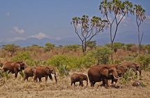 3 day Meru National Park Safari