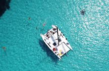 Catamaran excursions in the Asinara island National park