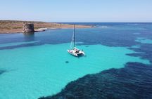 Catamaran excursions in the Asinara island National park