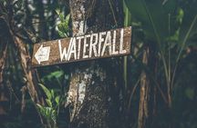 Materuni Waterfall Hike & Coffee Tour