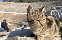 Private Tour : Magnificent Ephesus and Turkish Village Life Tour for Cruisers