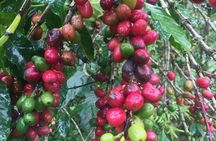 Lake Atitlan Lower Mayan Trail Hiking Tour from Panajachel