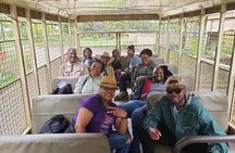 Lion & Safari Park