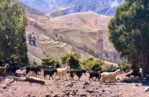 Atlas Mountains imlil Valley Guided Tour from Marrakech 