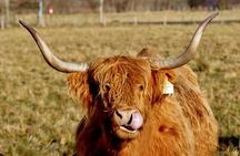Scotland Lochs & Glens Day Tour