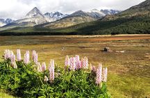 Andes crossing: Escondido and Fagnano lakes with lamb included