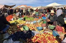 Day trip from Marrakesh to atlas Mountains