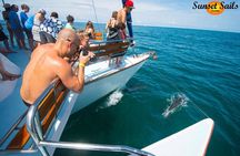 Sunset Sails Tours Morning or Afternoon 