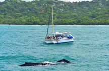 Sunset Sails Tours Morning or Afternoon 