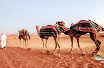 Dubai Full-Day Desert Safari Experience with Live BBQ Dinner