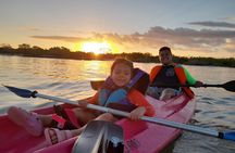 Kayak Experience in the Mangroves of Holbox Island