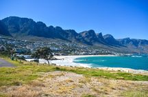 Cape of Good Hope & Boulders Beach Private Tour (Including Lunch)