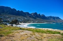 Table Mountain, Boulders Penguins & Cape point Private Day Tour