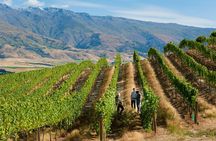 Premium Queenstown Wine Tour All-Inclusive Tour
